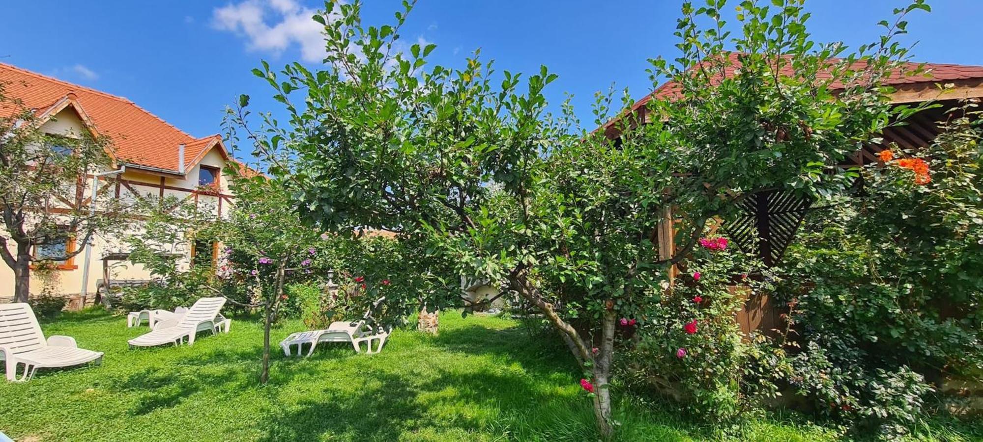 Pensiunea Bendorfeanu Răşinari Dış mekan fotoğraf