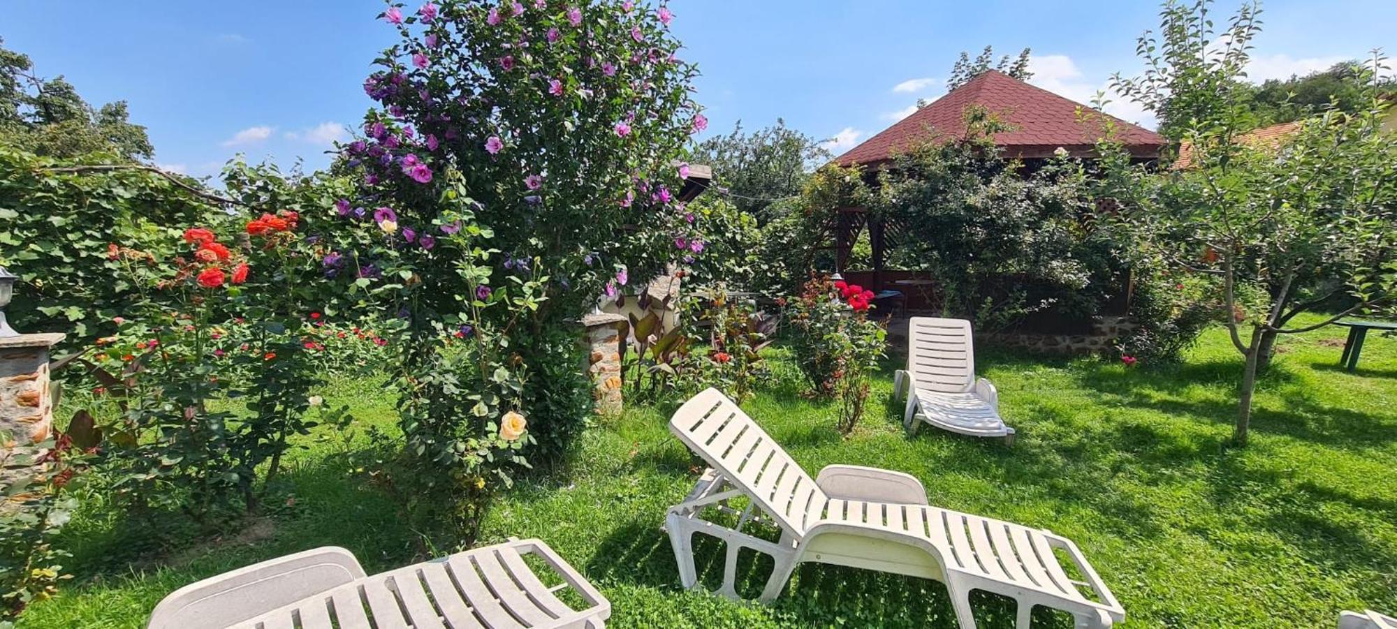 Pensiunea Bendorfeanu Răşinari Dış mekan fotoğraf